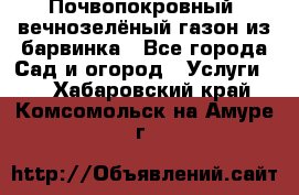 Почвопокровный, вечнозелёный газон из барвинка - Все города Сад и огород » Услуги   . Хабаровский край,Комсомольск-на-Амуре г.